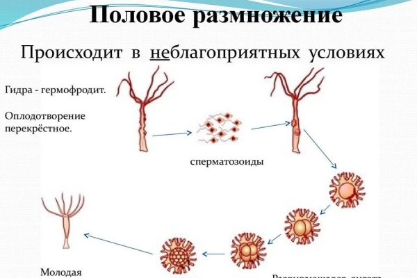 Кракен дарк